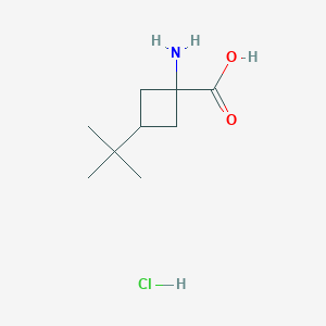 1-Amino-3-tert-butylcyclobutane-1-carboxylic acid;hydrochloride