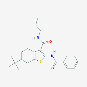 molecular formula C23H30N2O2S B289440 2-(benzoylamino)-6-tert-butyl-N-propyl-4,5,6,7-tetrahydro-1-benzothiophene-3-carboxamide 