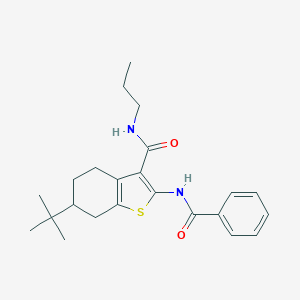 2-benzamido-6-tert-butyl-N-propyl-4,5,6,7-tetrahydro-1-benzothiophene-3-carboxamide