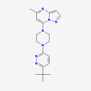 molecular formula C19H25N7 B2894423 7-[4-(6-Tert-butylpyridazin-3-yl)piperazin-1-yl]-5-methylpyrazolo[1,5-a]pyrimidine CAS No. 2380181-89-3