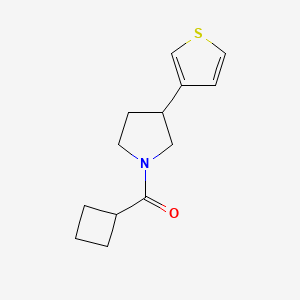 molecular formula C13H17NOS B2894713 Cyclobutyl(3-(thiophen-3-yl)pyrrolidin-1-yl)methanone CAS No. 2190365-80-9