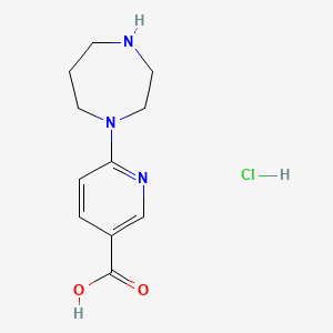 molecular formula C11H16ClN3O2 B2894918 6-(1,4-Diazepan-1-yl)pyridine-3-carboxylic acid hydrochloride CAS No. 1955523-74-6