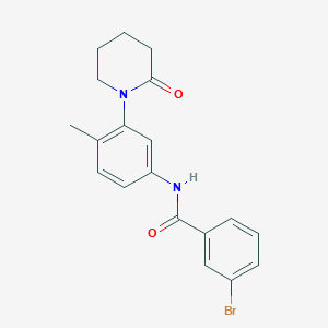 molecular formula C19H19BrN2O2 B2895572 3-bromo-N-(4-methyl-3-(2-oxopiperidin-1-yl)phenyl)benzamide CAS No. 941979-40-4