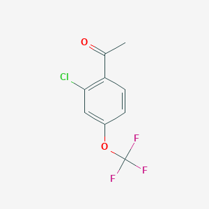 molecular formula C9H6ClF3O2 B2895734 1-[2-氯-4-(三氟甲氧基)苯基]乙酮 CAS No. 1824647-99-5