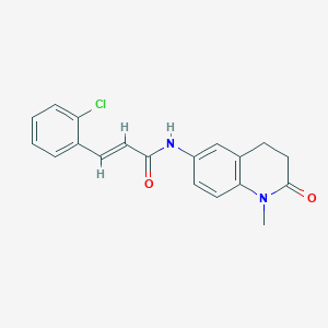 molecular formula C19H17ClN2O2 B2895886 (E)-3-(2-chlorophenyl)-N-(1-methyl-2-oxo-1,2,3,4-tetrahydroquinolin-6-yl)acrylamide CAS No. 1251711-80-4