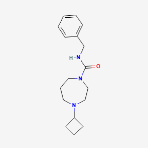 molecular formula C17H25N3O B2895921 N-benzyl-4-cyclobutyl-1,4-diazepane-1-carboxamide CAS No. 2192745-40-5