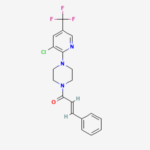 molecular formula C19H17ClF3N3O B2896445 (E)-1-[4-[3-chloro-5-(trifluoromethyl)pyridin-2-yl]piperazin-1-yl]-3-phenylprop-2-en-1-one CAS No. 1025152-62-8