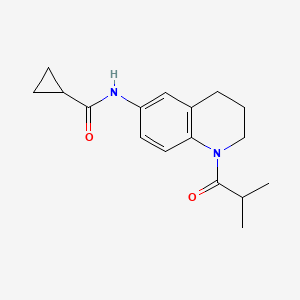 N-(1-isobutyryl-1,2,3,4-tetrahydroquinolin-6-yl)cyclopropanecarboxamide