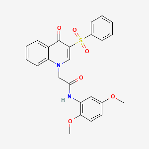 molecular formula C25H22N2O6S B2896556 2-[3-(benzenesulfonyl)-4-oxo-1,4-dihydroquinolin-1-yl]-N-(2,5-dimethoxyphenyl)acetamide CAS No. 866725-34-0