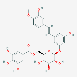 molecular formula C28H28O13 B2897586 Rhaponticin 6''-O-gallate CAS No. 94356-23-7