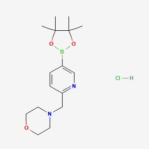 molecular formula C16H26BClN2O3 B2897760 2-Morpholinopyridine-5-boronic acid pinacol ester, HCl CAS No. 2377607-99-1