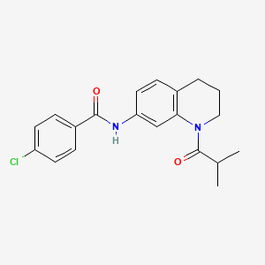 molecular formula C20H21ClN2O2 B2898228 4-chloro-N-(1-isobutyryl-1,2,3,4-tetrahydroquinolin-7-yl)benzamide CAS No. 1005301-57-4