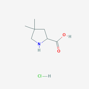 molecular formula C7H14ClNO2 B2898242 4,4-Dimethylpyrrolidine-2-carboxylic acid hydrochloride CAS No. 2197372-53-3