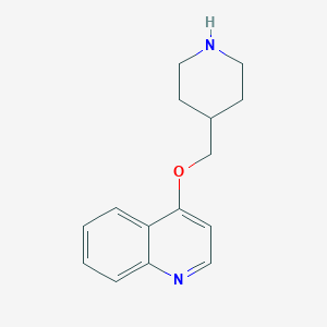 molecular formula C15H18N2O B2899918 4-[(Piperidin-4-yl)methoxy]quinoline CAS No. 771462-55-6