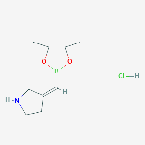 (3Z)-3-[(4,4,5,5-Tetramethyl-1,3,2-dioxaborolan-2-yl)methylidene]pyrrolidine;hydrochloride