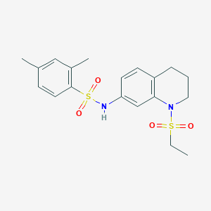 molecular formula C19H24N2O4S2 B2900797 N-(1-(ethylsulfonyl)-1,2,3,4-tetrahydroquinolin-7-yl)-2,4-dimethylbenzenesulfonamide CAS No. 946374-11-4