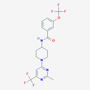 molecular formula C19H18F6N4O2 B2901251 N-(1-(2-methyl-6-(trifluoromethyl)pyrimidin-4-yl)piperidin-4-yl)-3-(trifluoromethoxy)benzamide CAS No. 2034407-37-7