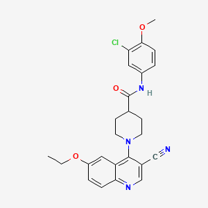 molecular formula C25H25ClN4O3 B2903108 N-(3-chloro-4-methoxyphenyl)-1-(3-cyano-6-ethoxyquinolin-4-yl)piperidine-4-carboxamide CAS No. 1226449-56-4
