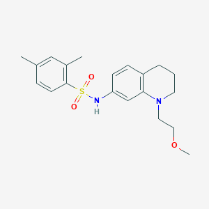 molecular formula C20H26N2O3S B2903339 N-(1-(2-methoxyethyl)-1,2,3,4-tetrahydroquinolin-7-yl)-2,4-dimethylbenzenesulfonamide CAS No. 1170461-48-9