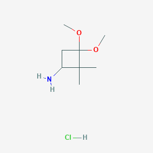 3,3-Dimethoxy-2,2-dimethylcyclobutan-1-amine;hydrochloride