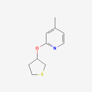 molecular formula C10H13NOS B2903774 4-Methyl-2-(thiolan-3-yloxy)pyridine CAS No. 2195877-50-8