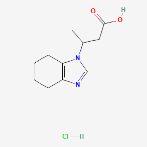 molecular formula C11H17ClN2O2 B2904224 3-(4,5,6,7-四氢-1H-1,3-苯并二唑-1-基)丁酸盐酸盐 CAS No. 2320820-55-9