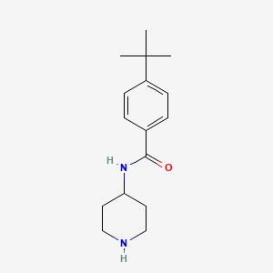 molecular formula C16H24N2O B2904331 4-叔丁基-N-哌啶-4-基苯甲酰胺 CAS No. 75484-44-5