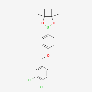molecular formula C19H21BCl2O3 B2904925 1,3,2-Dioxaborolane, 2-[4-[(3,4-dichlorophenyl)methoxy]phenyl]-4,4,5,5-tetramethyl- CAS No. 2246740-41-8