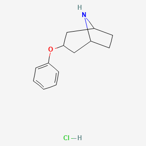 molecular formula C13H18ClNO B2904994 3-苯氧基-8-氮杂双环[3.2.1]辛烷盐酸盐 CAS No. 1955540-15-4