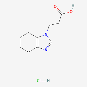 molecular formula C10H15ClN2O2 B2905487 3-(4,5,6,7-tetrahydro-1H-1,3-benzodiazol-1-yl)propanoic acid hydrochloride CAS No. 2320855-64-7