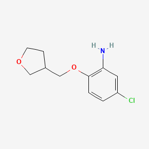 molecular formula C11H14ClNO2 B2906059 5-Chloro-2-(oxolan-3-ylmethoxy)aniline CAS No. 1249299-13-5