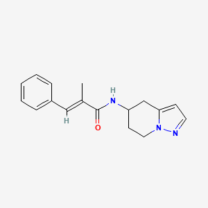 (E)-2-methyl-3-phenyl-N-(4,5,6,7-tetrahydropyrazolo[1,5-a]pyridin-5-yl)acrylamide