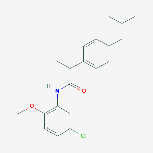 molecular formula C20H24ClNO2 B290794 N-(5-chloro-2-methoxyphenyl)-2-(4-isobutylphenyl)propanamide 