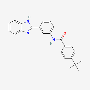 molecular formula C24H23N3O B2907966 N-[3-(1H-benzimidazol-2-yl)phenyl]-4-tert-butylbenzamide CAS No. 477493-00-8
