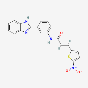 molecular formula C20H14N4O3S B2907969 (E)-N-(3-(1H-benzo[d]imidazol-2-yl)phenyl)-3-(5-nitrothiophen-2-yl)acrylamide CAS No. 477493-62-2