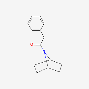 molecular formula C14H17NO B2908094 1-((1s,4s)-7-Azabicyclo[2.2.1]heptan-7-yl)-2-phenylethan-1-one CAS No. 1381886-72-1