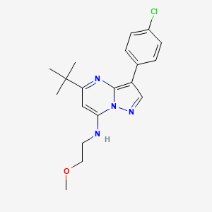 molecular formula C19H23ClN4O B2908113 5-tert-butyl-3-(4-chlorophenyl)-N-(2-methoxyethyl)pyrazolo[1,5-a]pyrimidin-7-amine CAS No. 896806-64-7