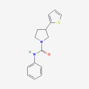 molecular formula C15H16N2OS B2909097 N-phenyl-3-(thiophen-2-yl)pyrrolidine-1-carboxamide CAS No. 2194902-92-4