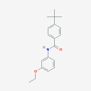 molecular formula C19H23NO2 B290940 4-tert-butyl-N-(3-ethoxyphenyl)benzamide 