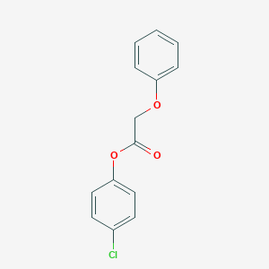 molecular formula C14H11ClO3 B290949 4-Chlorophenyl phenoxyacetate 