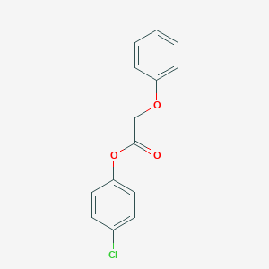 4-Chlorophenyl phenoxyacetate