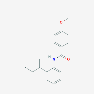 molecular formula C19H23NO2 B291020 N-(2-sec-butylphenyl)-4-ethoxybenzamide 