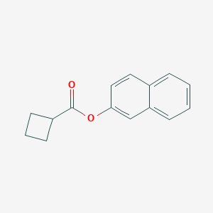 molecular formula C15H14O2 B291089 Cyclobutanecarboxylic acid, 2-naphthyl ester 