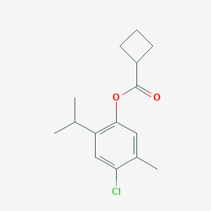 molecular formula C15H19ClO2 B291094 4-Chloro-2-isopropyl-5-methylphenyl cyclobutanecarboxylate 