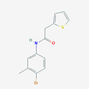 molecular formula C13H12BrNOS B291169 N-(4-bromo-3-methylphenyl)-2-(2-thienyl)acetamide 