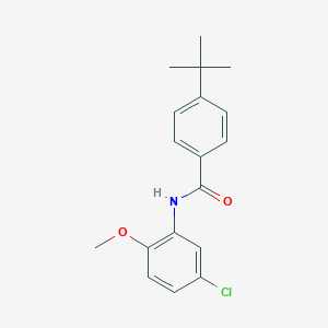 molecular formula C18H20ClNO2 B291186 4-tert-butyl-N-(5-chloro-2-methoxyphenyl)benzamide 