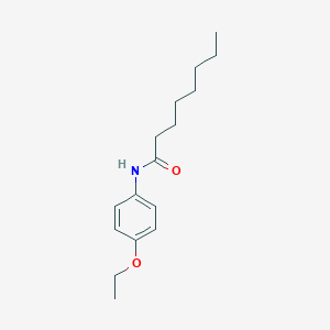 molecular formula C16H25NO2 B291281 N-(4-ethoxyphenyl)octanamide 