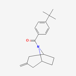 molecular formula C19H25NO B2913010 (4-(tert-butyl)phenyl)((1R,5S)-3-methylene-8-azabicyclo[3.2.1]octan-8-yl)methanone CAS No. 2310016-22-7