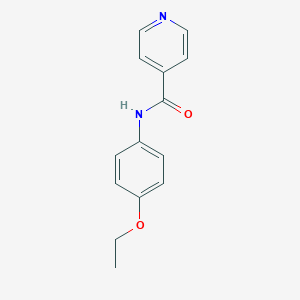 molecular formula C14H14N2O2 B291306 N-(4-ethoxyphenyl)isonicotinamide 