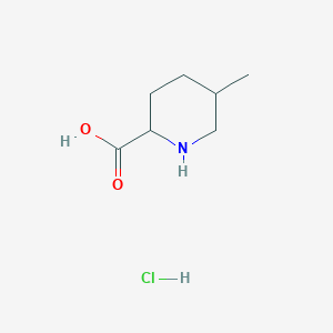 molecular formula C7H14ClNO2 B2913606 5-甲基哌啶-2-羧酸盐酸盐 CAS No. 661459-01-4